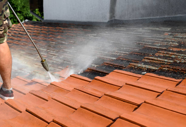 Best Residential Pressure Washing Services  in Guthrie, KY